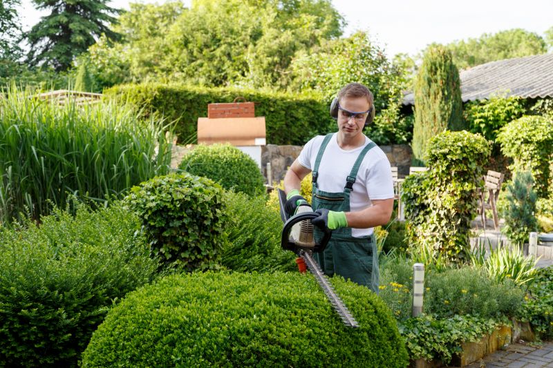 Crepe Myrtle Trimming