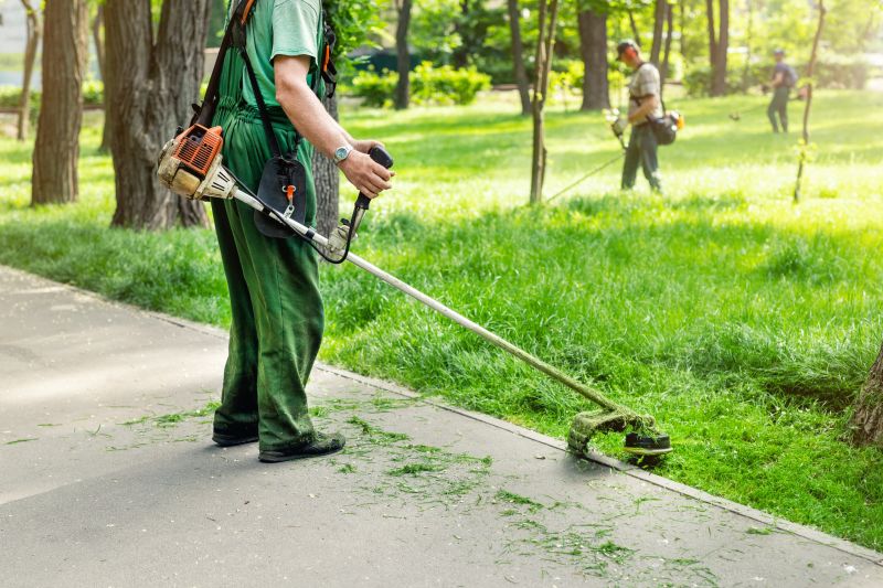 Crepe Myrtle Trimming