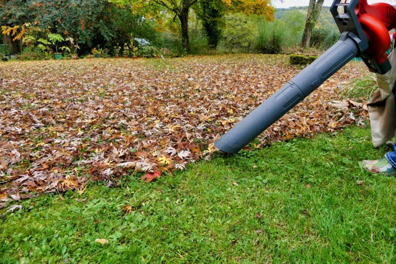 Professional Leaf Blower