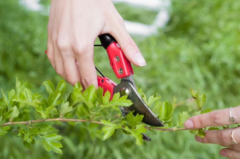 Close-up of Trimming Tools